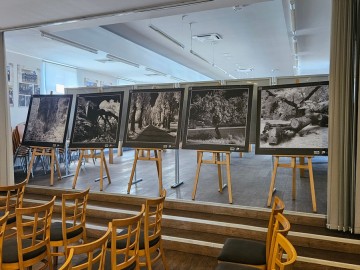 Wystawa „Drzewa Województwa Łódzkiego” autorstwa Piotra Wypycha, 